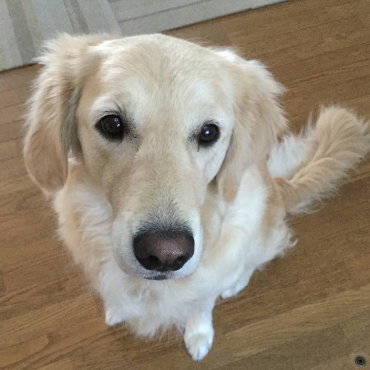 19698863 f5a9 484d b6f9 c02a591bf57b