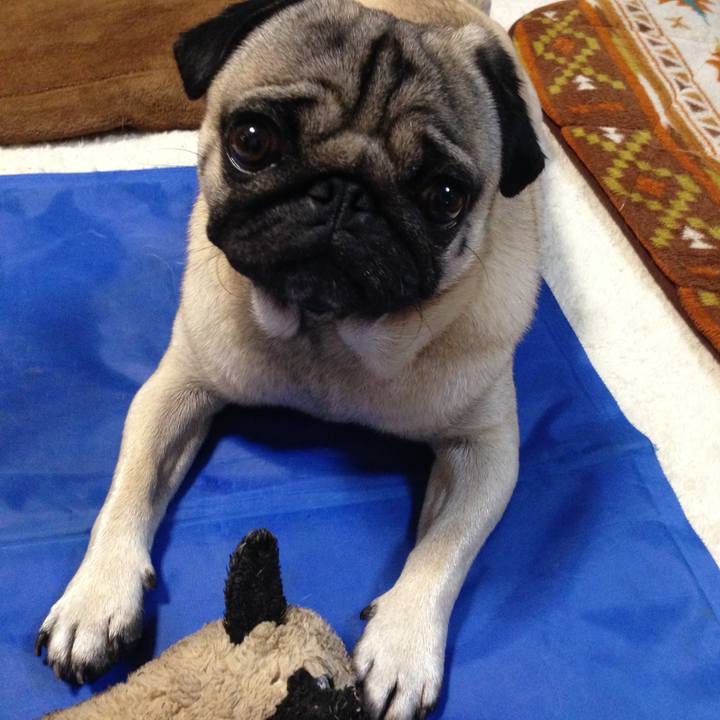 1969cbb3 0aae 49ad a702 a64ab54732fa