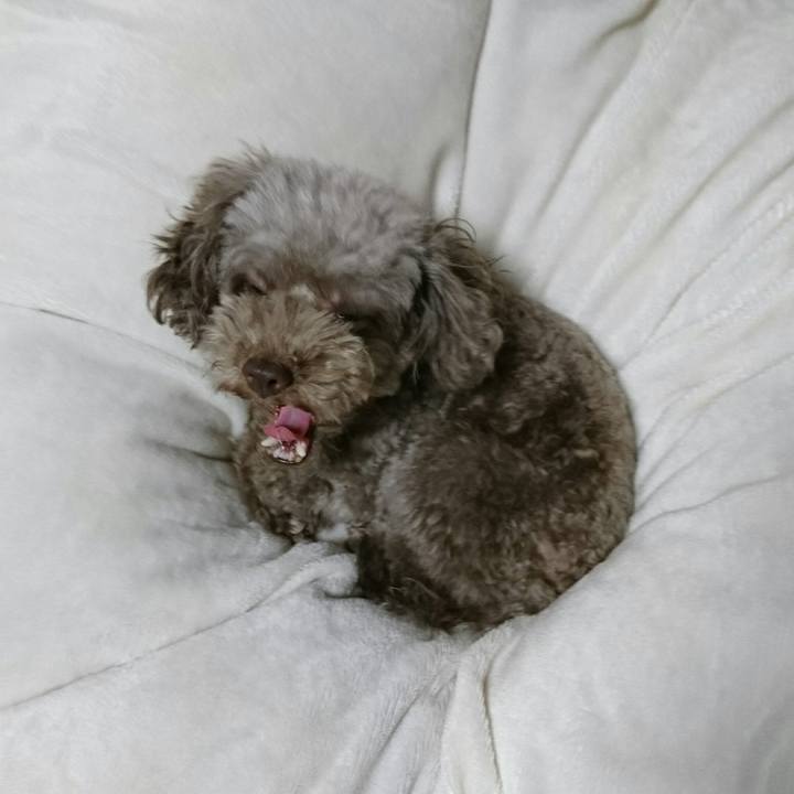 196a2e3d 822f 4885 a7d8 1e8d152f0676