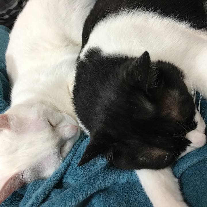 196aae72 44a9 4a0b aedf 224f2d4dbcf8