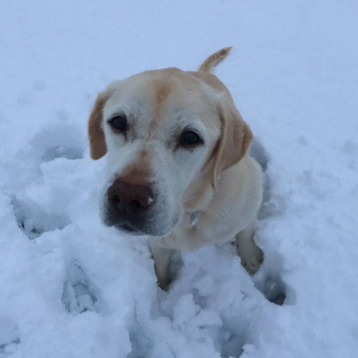 196abeb1 57e9 4f9e 8aec 5709aee57a84