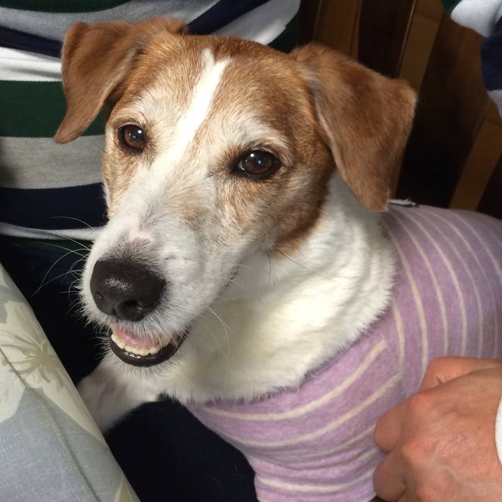 196b30da e53c 4406 ae2c c3feb88572e5