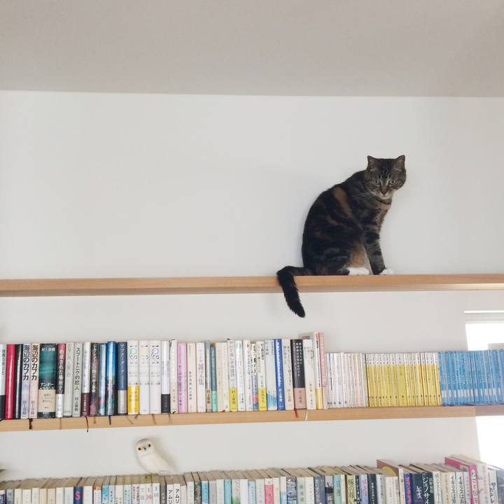 196c100d 2af5 43e7 a202 ba7d68311355