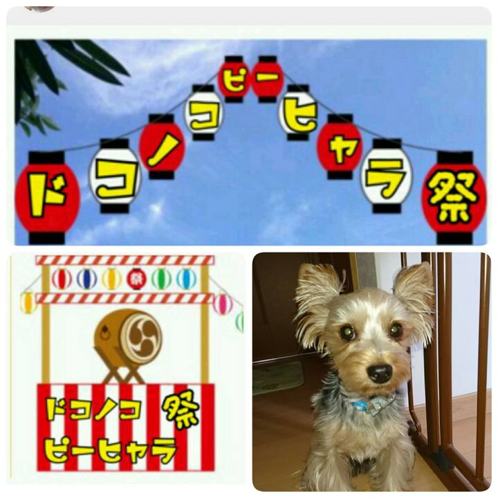 196c5934 0530 4094 b334 7d225cbe8c92