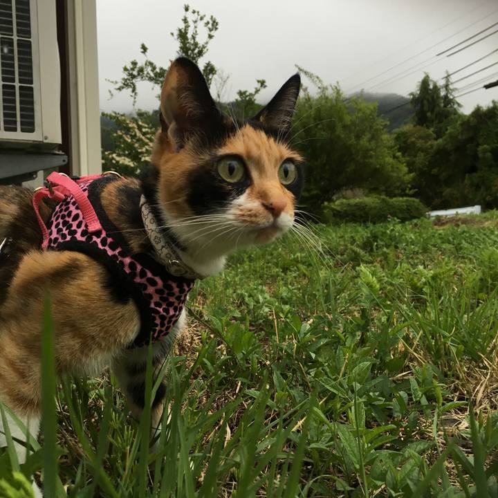 196cd66e 8dcb 4f30 94e5 bed04dd34073