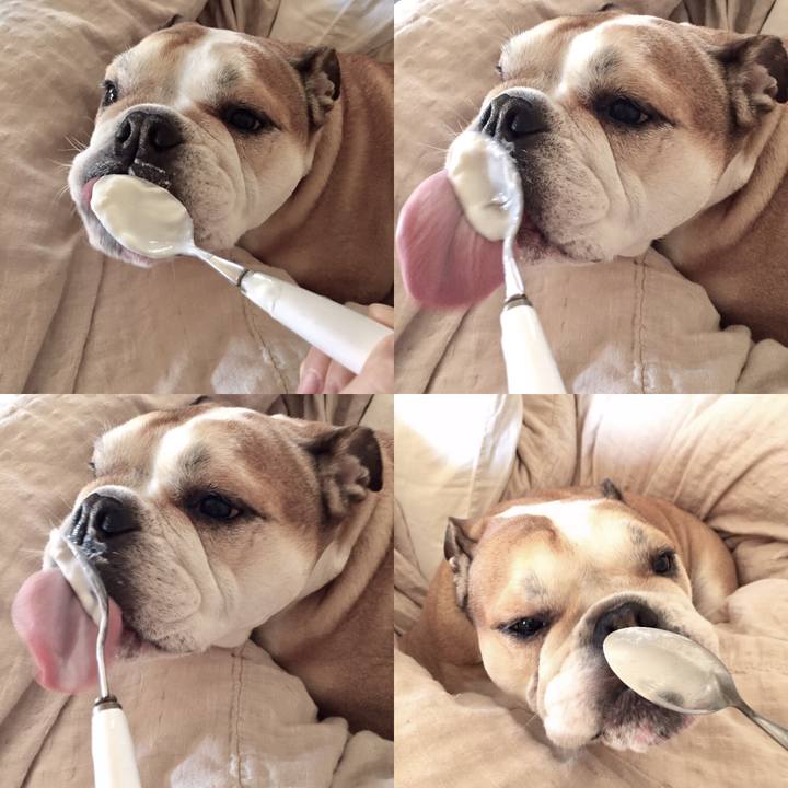 196d1f94 756b 40b3 8188 60fea595af33