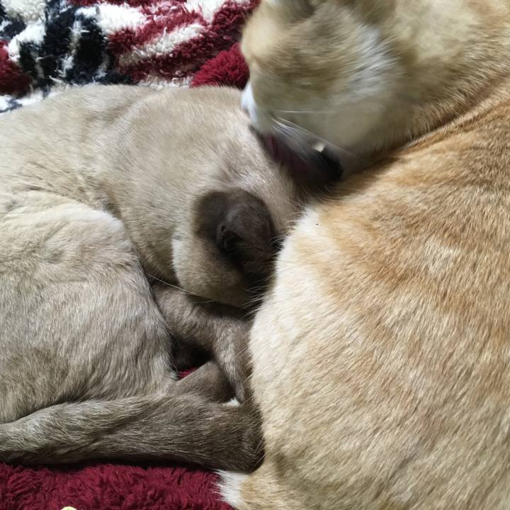 196dd7fd 699f 4f4b 88c7 d9672256536f