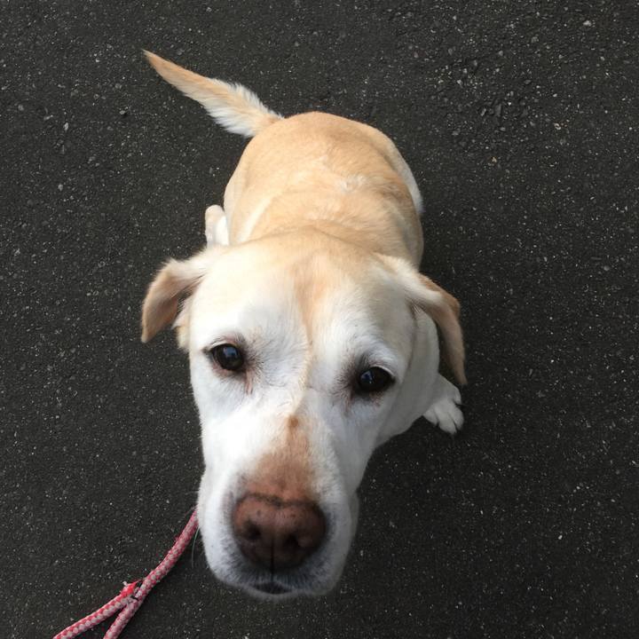 196ea96b 999b 444e 8fe0 6b5f6d291da6