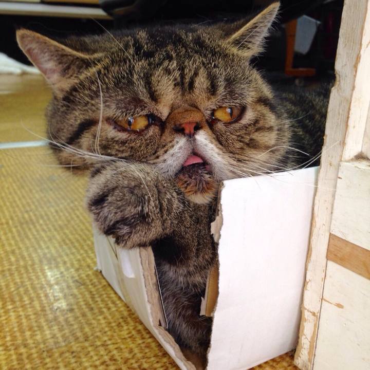 196eb731 5750 4f16 9998 bcfbe032ddf0