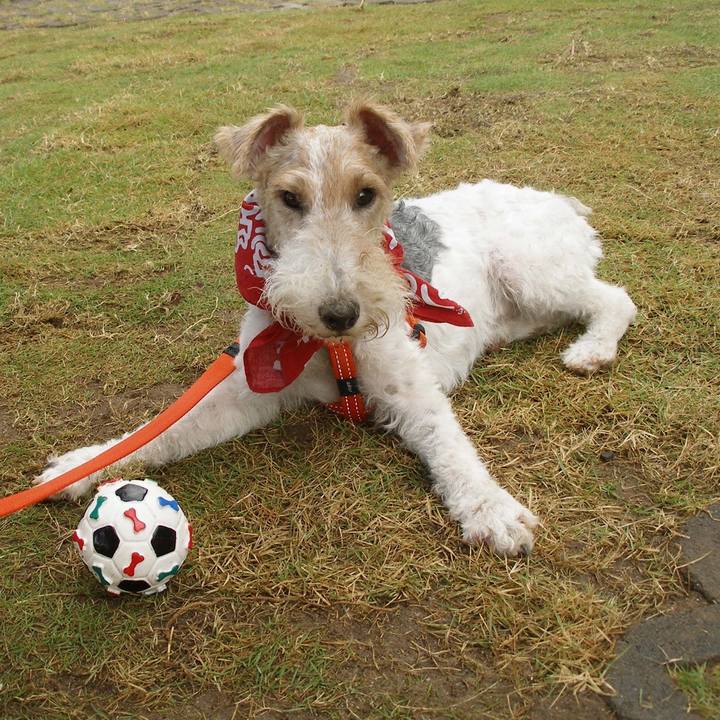 196efa11 ccff 451f 936d 9181f1ca3ebb