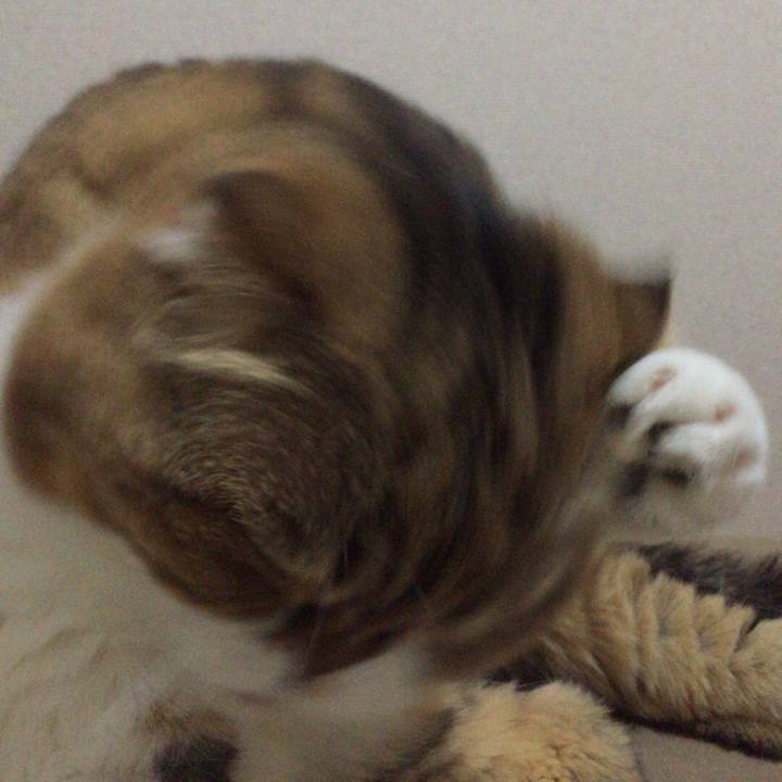 196f989c acef 4ff4 9ca7 045ee74be996