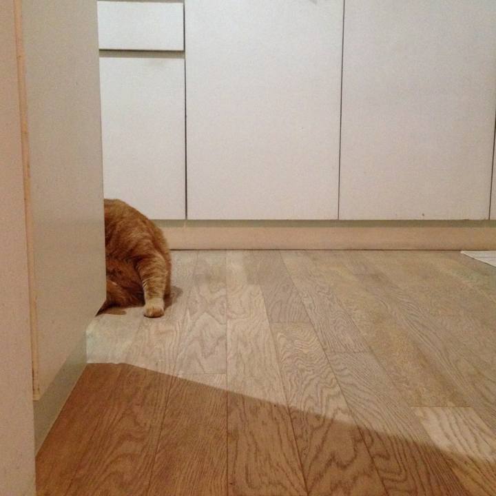 196fc9e5 7676 48d0 bd56 3cd9c198c0a5