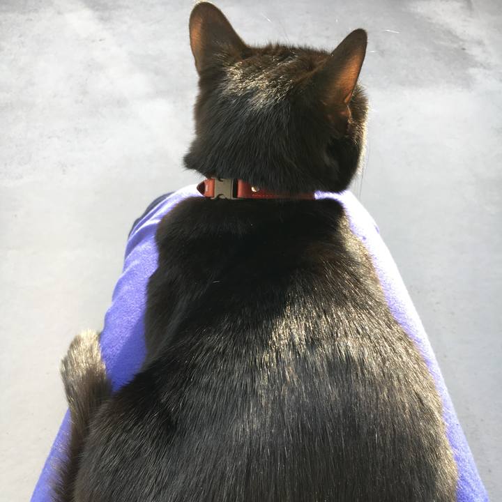 19703345 f473 43f5 a32c cb8247906a0a