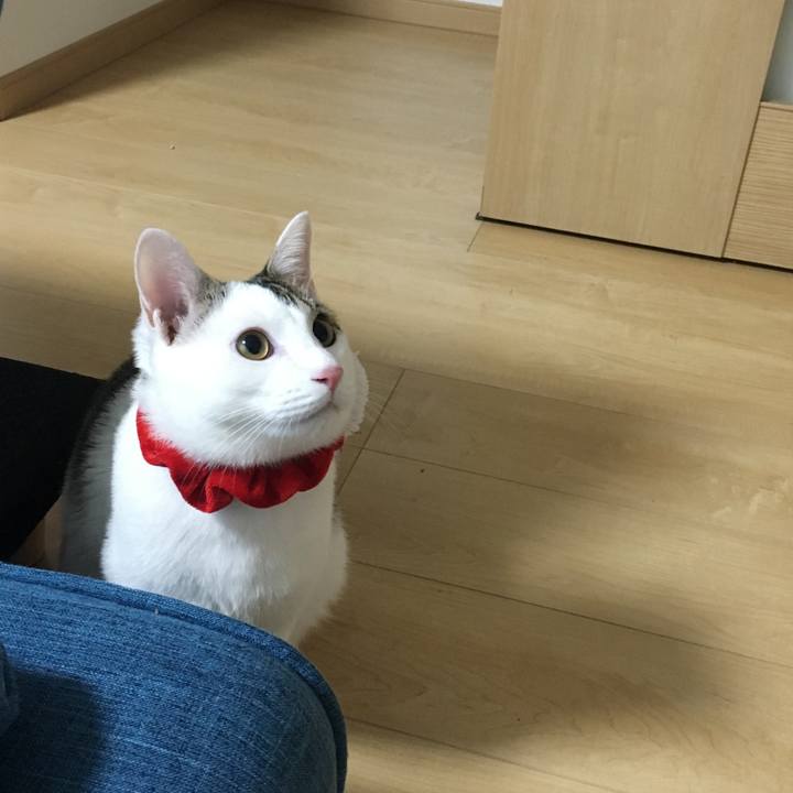 1970682e 0cf5 4a18 b0fc dbd6e77cb50e