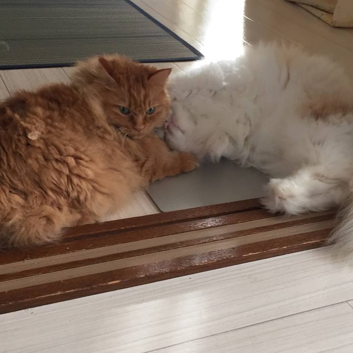 19708660 7918 49ae 9c31 44fa79babb49