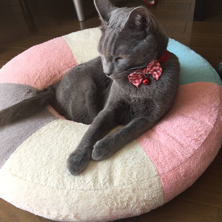 19708dc1 5c8b 4828 8f02 4ddf3b429821