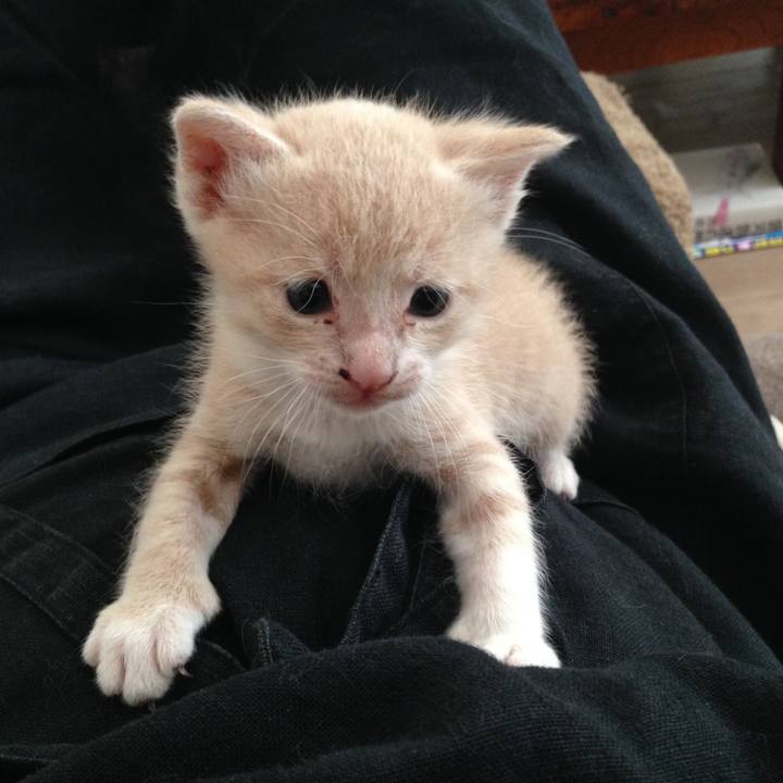 1970a31f 3994 4997 a61e eb296e099fa3