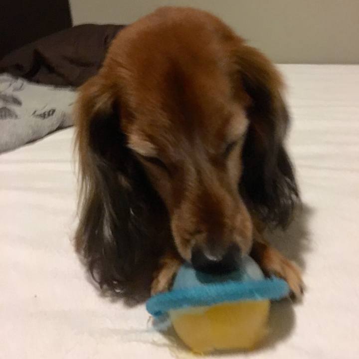 1970e136 1e89 4e65 96c8 1c5ed76469ca