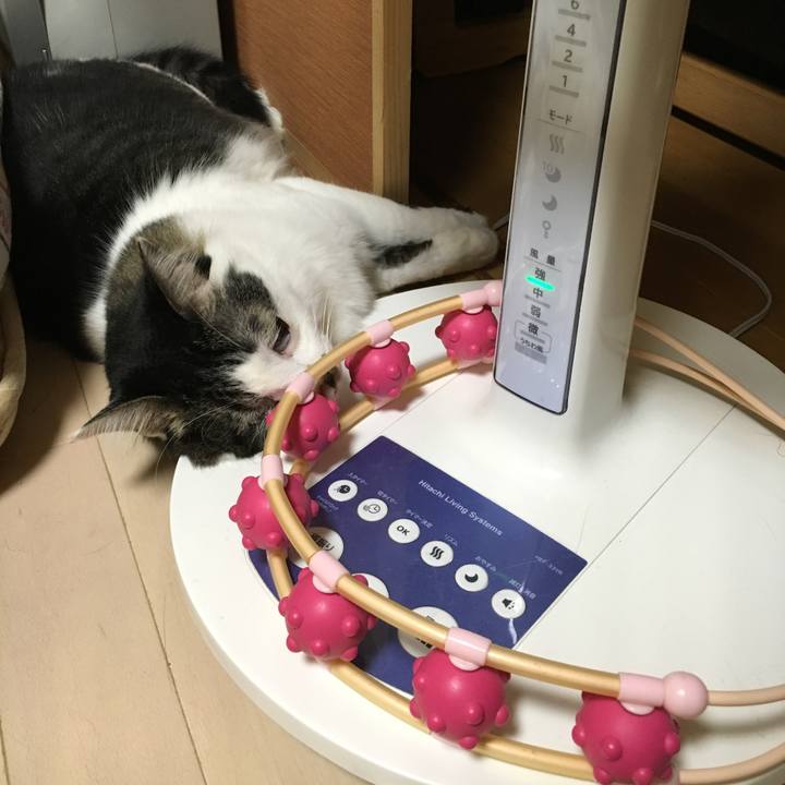 1970e4cc afdd 4eb9 9d76 5760b964498f