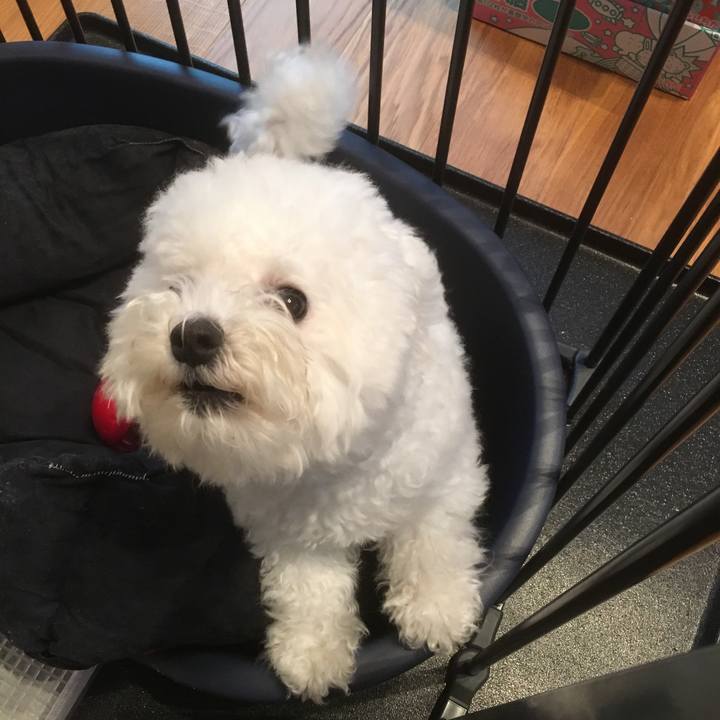 19712806 e025 40d4 bd44 4af017aadce2