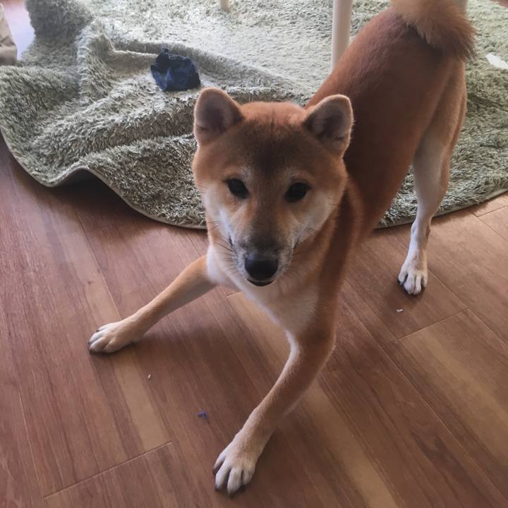 197149e6 77c2 4e95 8c5d 597abec5f6b8