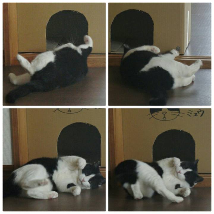 19716d53 ef7c 49f1 ad9e 781a8c7653d3