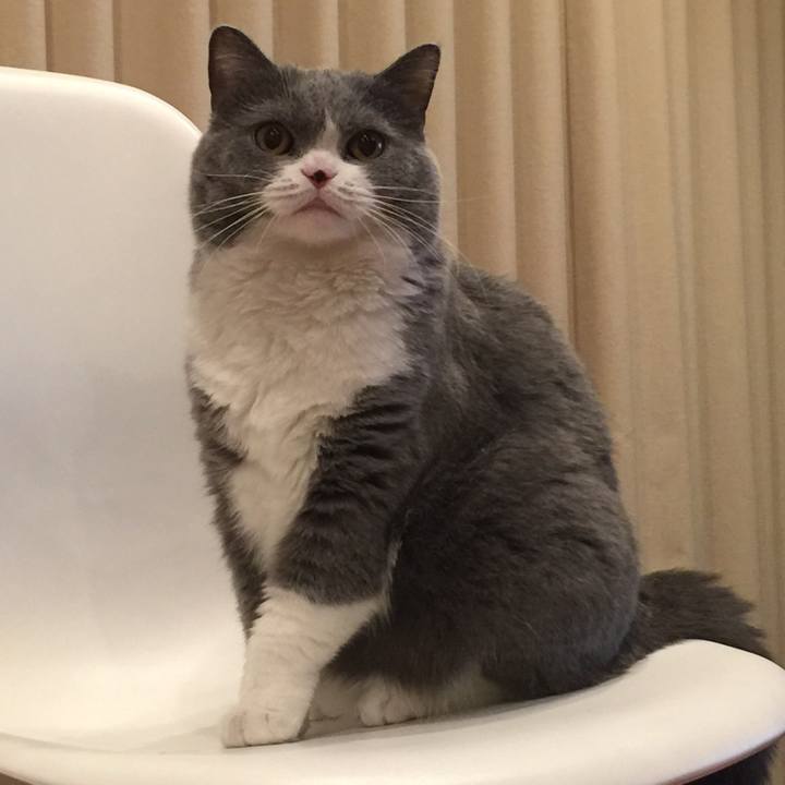 197185e0 d97b 42d0 a992 210681a7779f