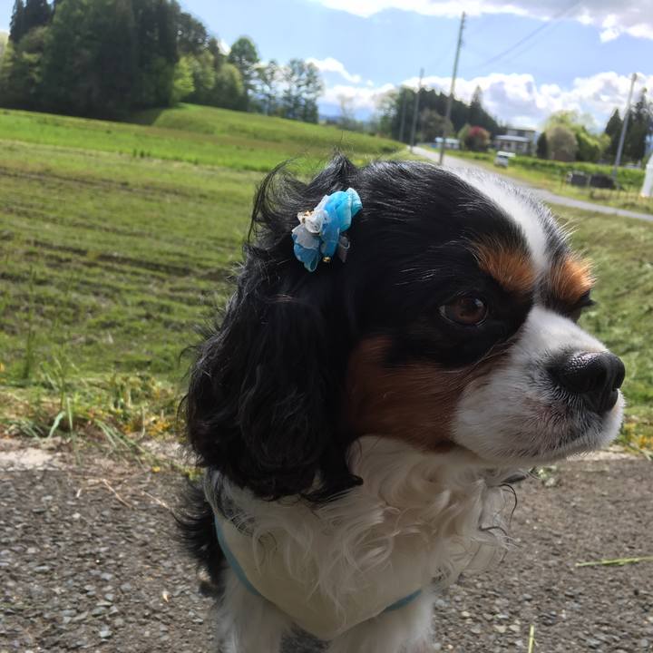 1971cf34 fff7 4641 b1d1 22c70d389cde