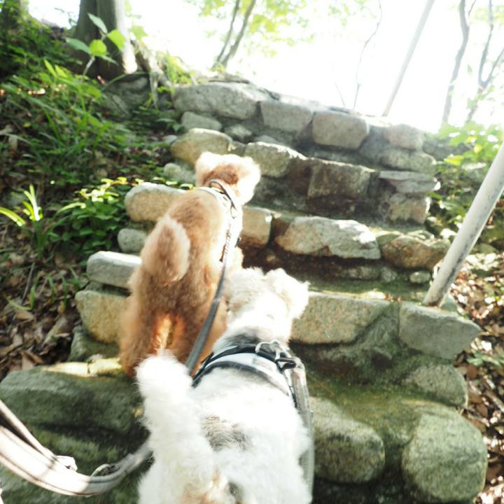 1971ef6d a47b 4f7c 9090 1939c1b9e7df