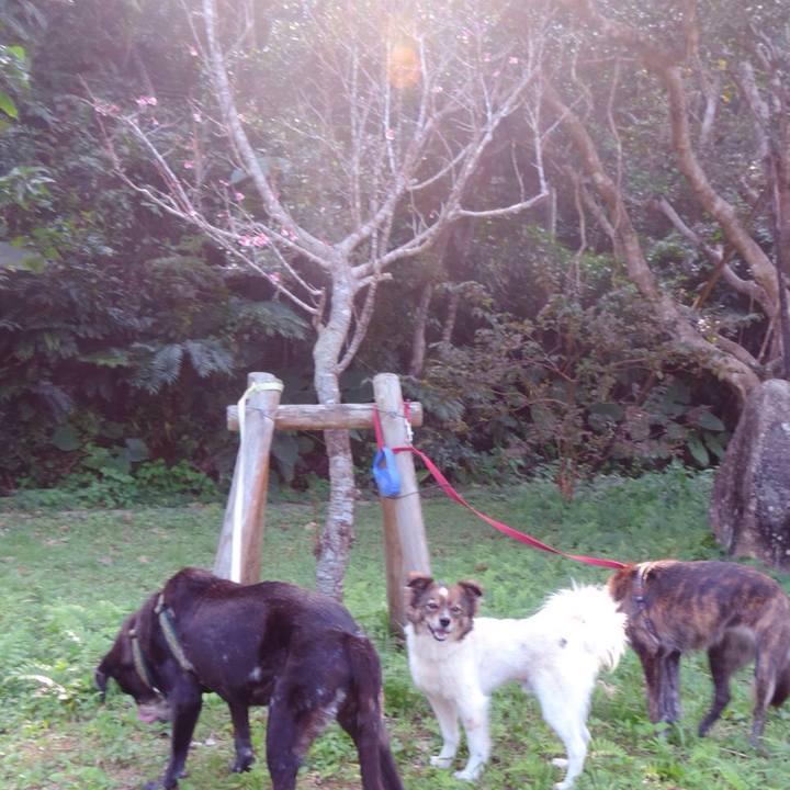 19721073 9f08 4501 aa01 92fcaace523c