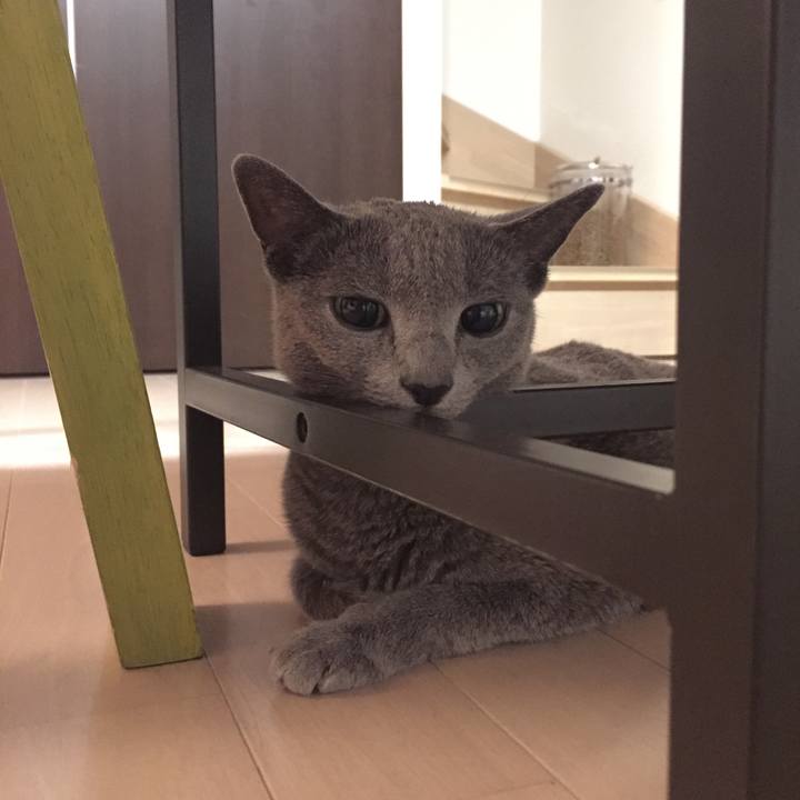 19723d3a b21d 4f5b 8d89 3dd0c40ef6cb