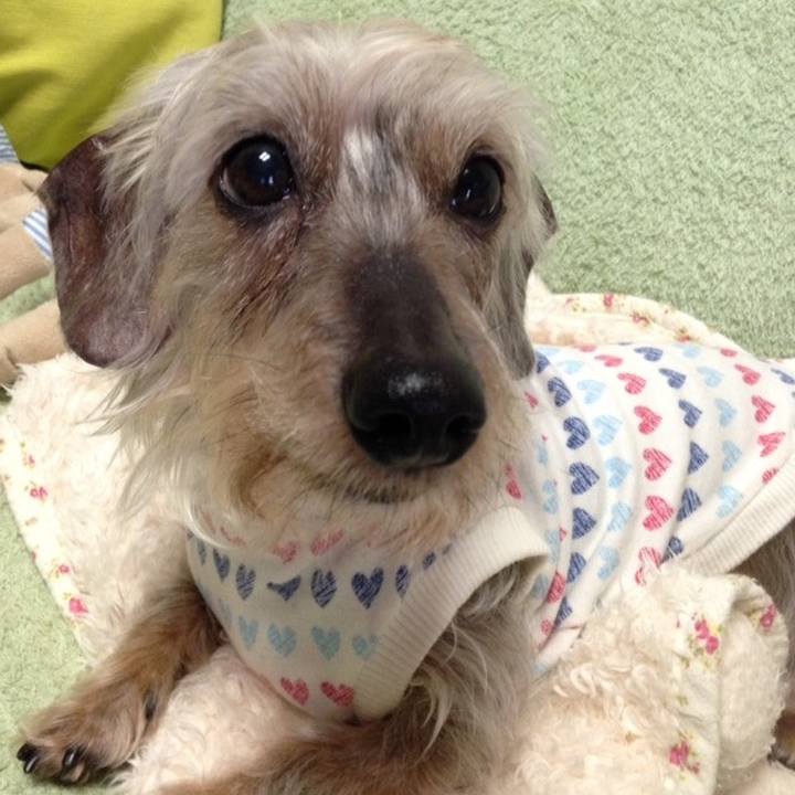 19728f63 26f3 4197 b7fe 452e8deeac6f