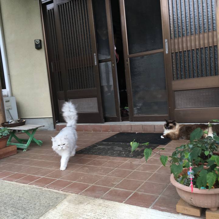 19735bc3 7fe8 4c90 b921 8257dda9b07d