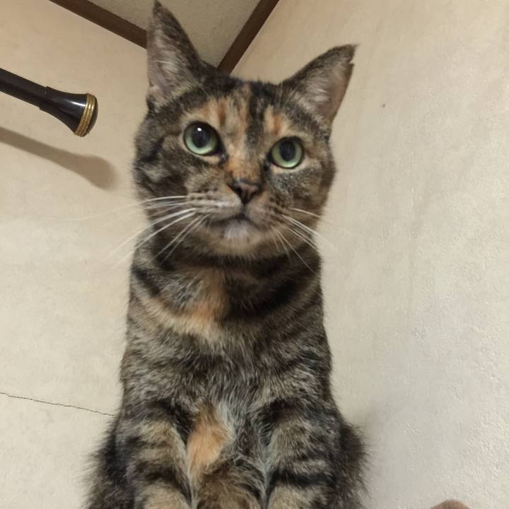 1973ac5d 66ab 4b88 a1e5 d2ff43f2b316