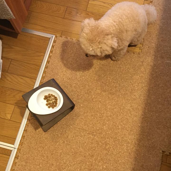 1973b22a 359c 4a5a b21c 2b443febdbf0