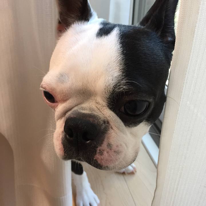 1973d400 2eb9 470f b5c5 6cb51cd669cb