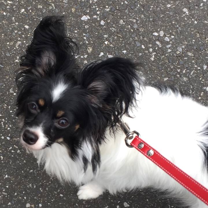 19740c77 d587 4c41 b9bd 38333fd8b326