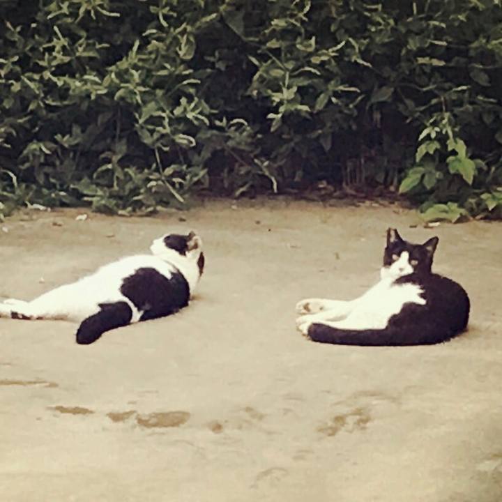 1974ac05 df38 4f87 b513 883be6e6e7eb