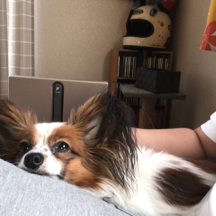 1974d73d cb2d 4be1 af2d 376a7f548c88