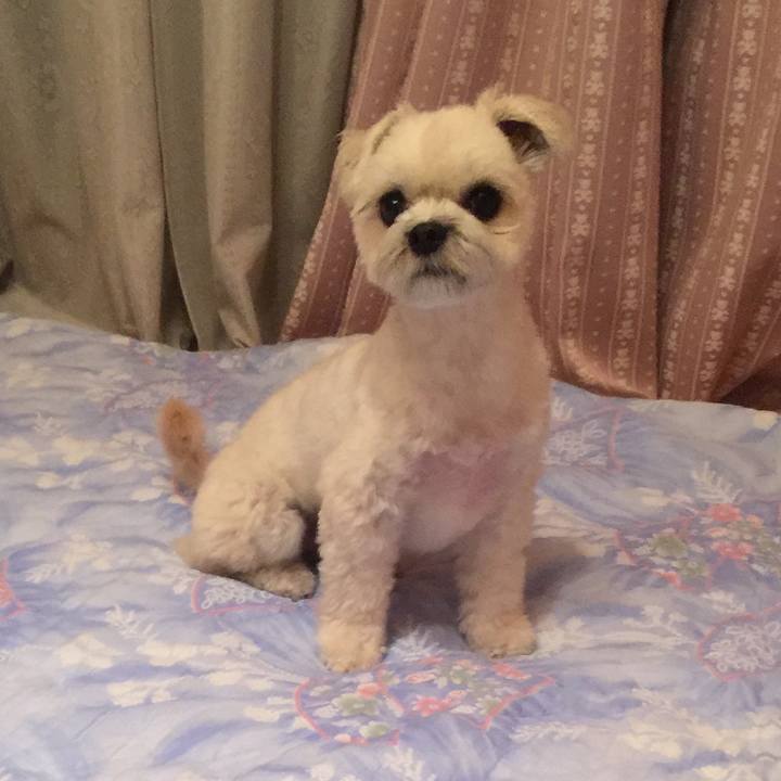 1974e587 b806 4b88 8d87 552628561de5