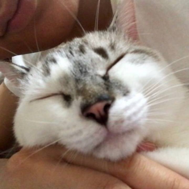 1975bc9d 6b67 4c3f 9ed8 c5a8cab65cc3