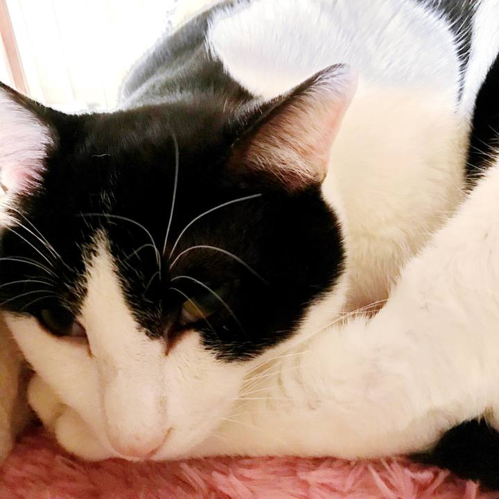 1975ff23 8874 437d 9e35 27aa86885fb7