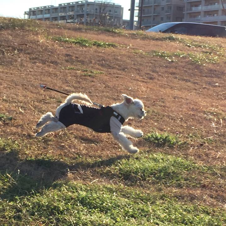 1977dd0c 34c7 4264 a8b2 412eff067f2e