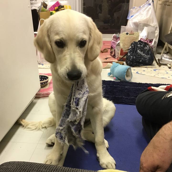 19789a2f 8f2e 4c19 ba2d 572133421249