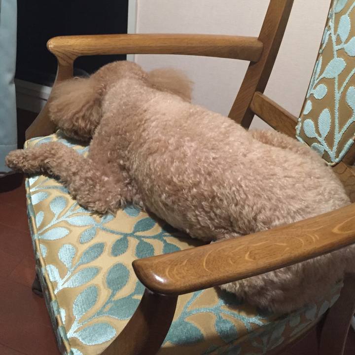 1978a4be 22a7 4b85 a8c3 ef74f0b0a86f