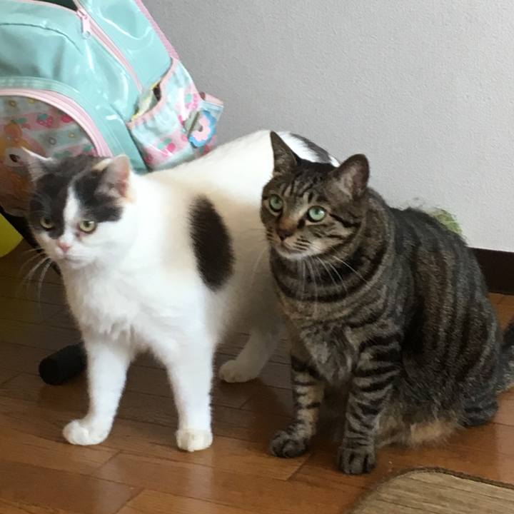 1978ac1f 44a9 4a80 bc31 2bb81d317a5a