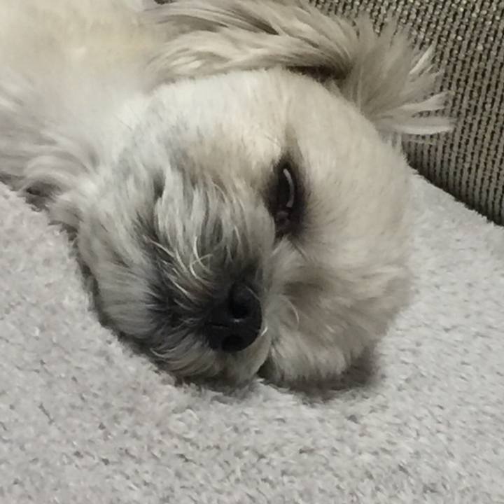 19798242 3d80 4fab bae7 1ca75f265f5e