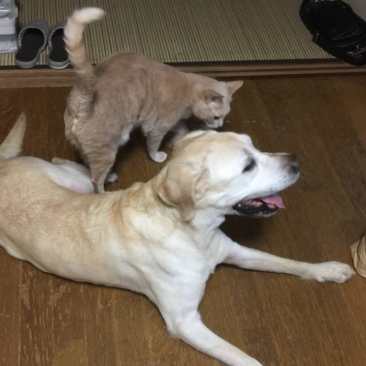 19799861 0d68 4ae1 a324 3c4e12d54371