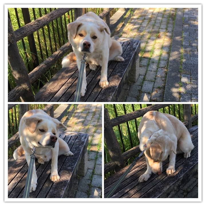 197a0a7a c03a 49d9 9409 59bab0b78d89