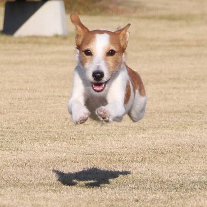 197a9d6c 6c44 43de ade9 d0a597cbdea7